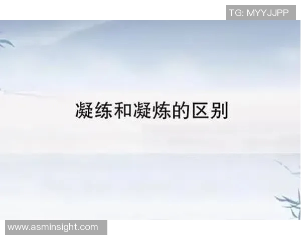 南京飞盘队战术解析与实战应用的深度探讨与思考